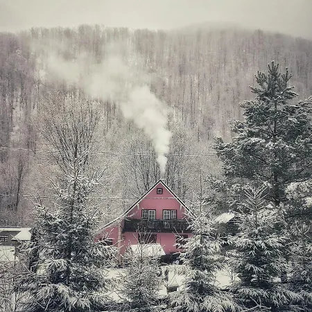 Valea Rea, Boga *