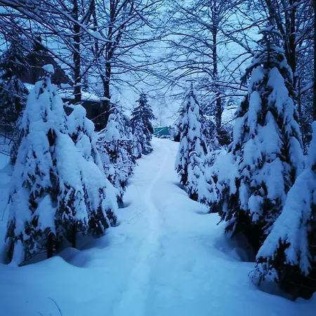 Valea Rea, Boga *