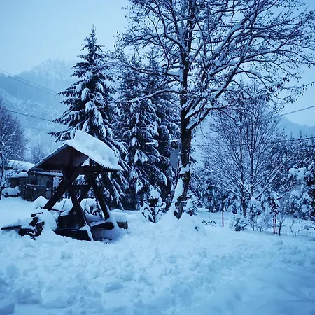 Valea Rea, Boga *
