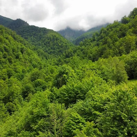 Valea Rea, Boga * Boga (Bihor)