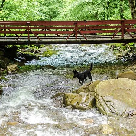 Valea Rea, Boga Holiday home
